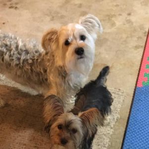 Meet your Posher, Tarri